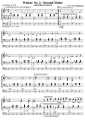 Bild 2 von Walzer Nr. 2 (D. Schostakowitsch) / Version André Rieu  -  OKEY-Songware Nr. 071