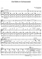 Bild 2 von Die Mühle im Schwarzwald (Richard Eilenberg) / Version Klaus Wunderlich  -  OKEY-Songware Nr. 076
